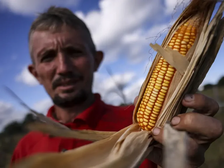 Nova lei previdenciária extingue multa sobre tempo rural, mas impacto prático é limitado