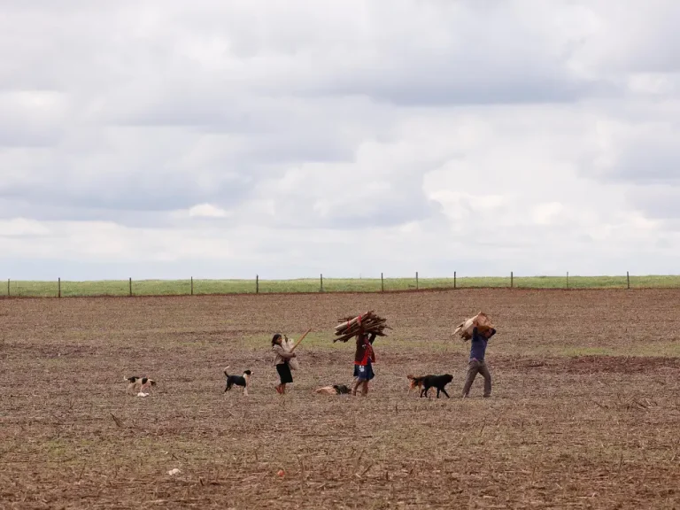 Duas provas podem garantir 15 anos de atividade rural? Entenda o que muda entre o INSS e a Justiça