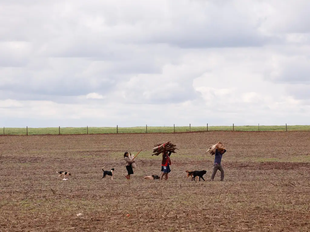 Duas provas podem garantir 15 anos de atividade rural? Entenda o que muda entre o INSS e a Justiça